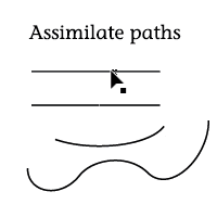 assimilate paths